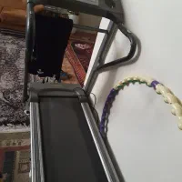 تردمیل خارجی ویک بخارشوخارجی