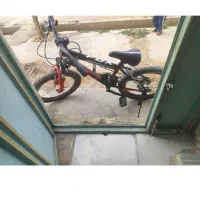 دوچرخه بیست