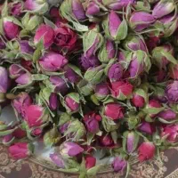 غنچه محمدی