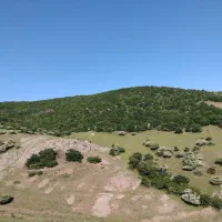 فروش زمین کشاورزی