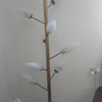 آباژور ۹ شاخه ناظری