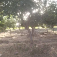 فروش زمین روستایی