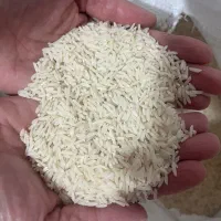 برنج هاشمی درجه ۱ سورتینگ شده