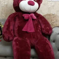 خرس ولنتاین ۲ متری