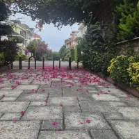 اجاره نمک ابرود هچیرود کلارآباد حدود ۹۰ متر فول