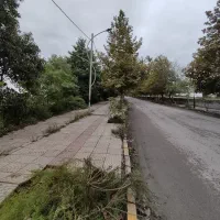 مشارکت ۱۰۰۰ متر دو کله خط ۱ساحل