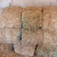 پرس زعفران