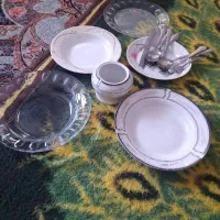 ظروف چینی وشیشیه