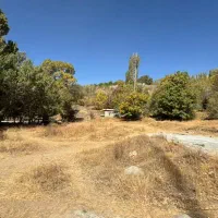 زمین روستای سر زیارت