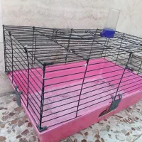 قفس