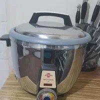 پلوپزبرقی