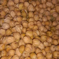 نخود محلی
