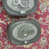 باند ۷۱۸ نو نو و ظبط ۶ خروجه پایونیر