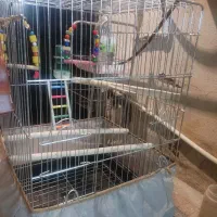 قفس بزرگ نو مناسب برا نگهداری انواع پرنده