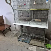 قفس پرنده