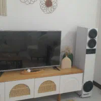 تلویزیون ۴۹اینچ
