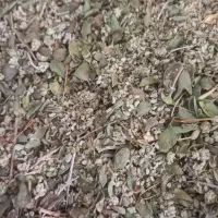 ادویه جات و گل گاوزبان  درجه یک  و تازه  فروش