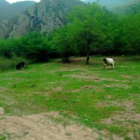 فروش-زمین-در-نزدیکی-مرزن-آباد-استثنائی