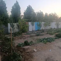 زمین جهت سرمایه گذاری به متراژ ۳۸۶متر