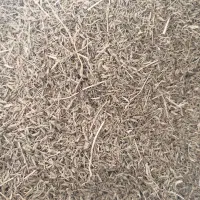 زیره سبز|خوردنی و آشامیدنی|کرج, ساسانی (قلمستان)|دیوار