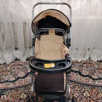 کالسکه و رورویک