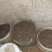 میخ