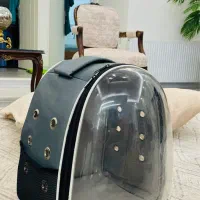 باکس کوله پشتی سگ