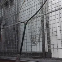 کفتر|ماهیگیری|قم, امامزاده ابراهیم|دیوار