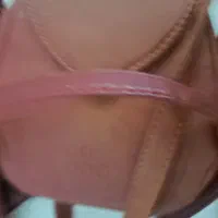 کیف|کیف، کفش، کمربند|بجنورد, |دیوار