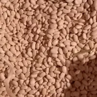 لوبیاسفید