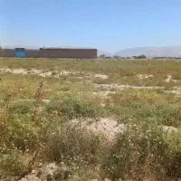 فروش-زمین-کشاورزی