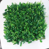 گرین وال برای دکوراسیون منزل و محل کار