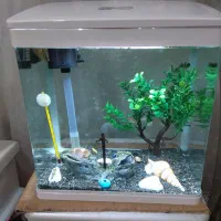 آکواریم تمیز با تمام لوازم اک