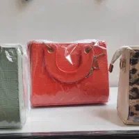 کیف زنانه و دخترانه طرح دیور