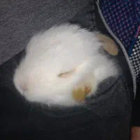 کاشت ناخن