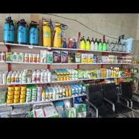 سم پاشی ساس ضمانتی حصارک پیشاهنگی خرمدشت کمال شهر