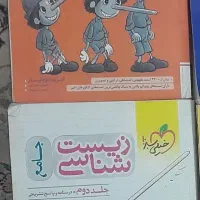 پینوکیو جامع ۱۴۰۳