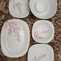 سرویس ۶ نفره پارس اوپال