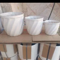 گل گلدان