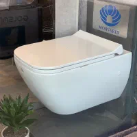 توالت فرنگی، وال هنگ ،توالت زمینی ،چینی بهداشتی