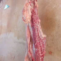 لاععبزی