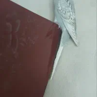 مرغ عشق گمشده