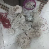 فوری  لوازم اکواریوم آب شور صخره و ... فوری فروشی