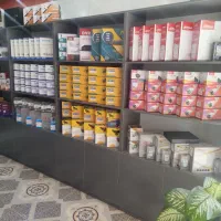 دزدگیر اماکن و دوربین مداربسته