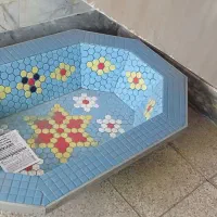 حوضچه
