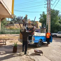 تلوزیون میز صندلی مبل