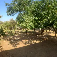 فروش-باغ-همت-ابات