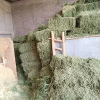 یونجه چین دوم درجه یک