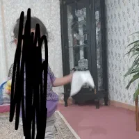 بوفه سالم