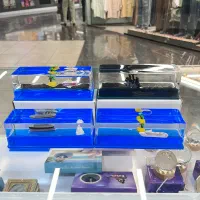 خاص ترین و ماندگار ترین دکوری ها